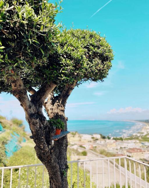 Lavinum Villa Monte di Procida Exterior foto